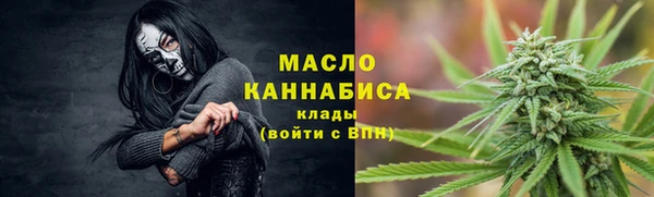 ГАЛЛЮЦИНОГЕННЫЕ ГРИБЫ Михайлов