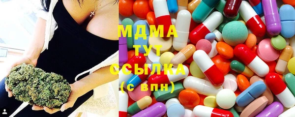 ГАЛЛЮЦИНОГЕННЫЕ ГРИБЫ Михайлов
